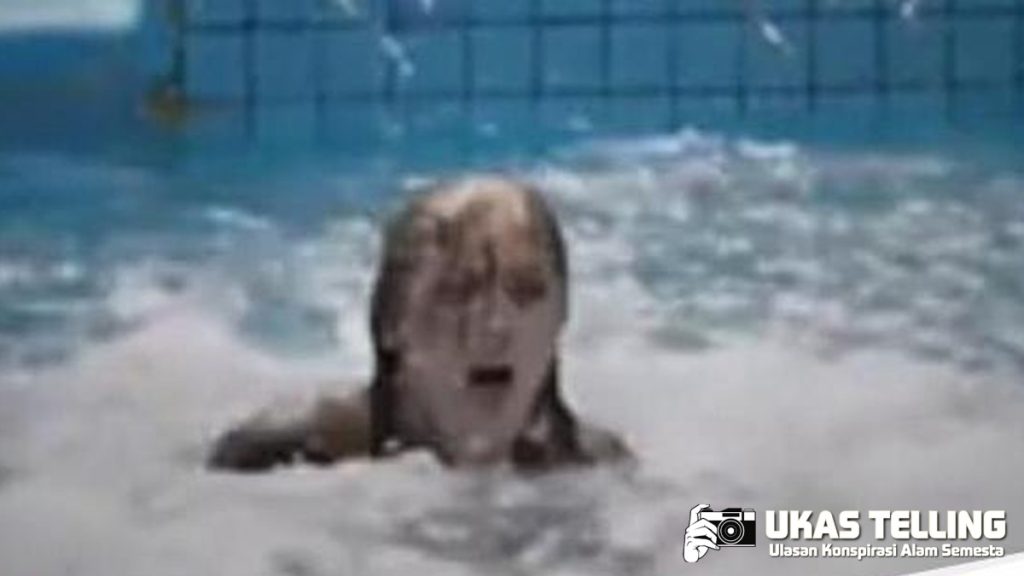 Tragedi Jessica Radcliffe Dibunuh Paus Orca 8 Gigitan