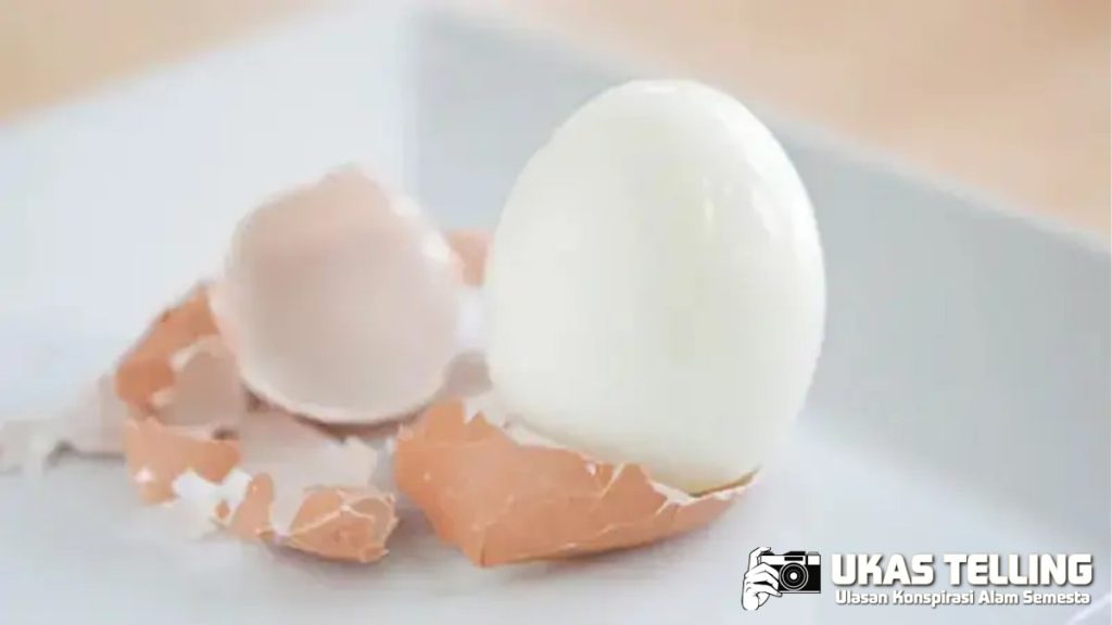 Tanggapan Dekan FKUI terhadap Saran Sarapan 2 Telur
