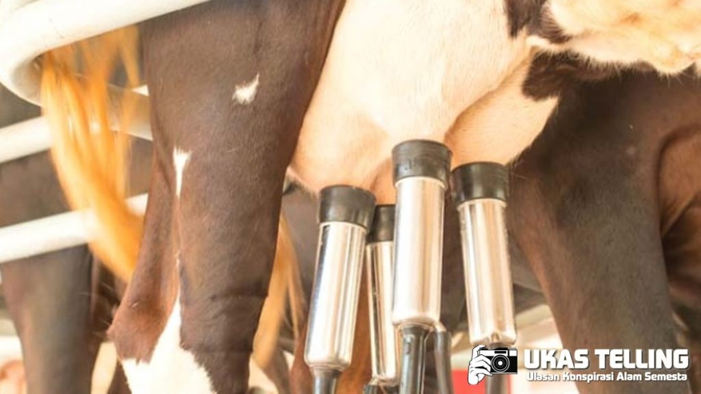 Viral Susu MBG 30% Ombudsman Dorong Nilai Produk