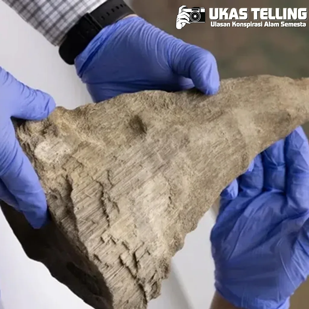 Singapura baru Sita Cula Badak Ilegal Rp 14,6 M!