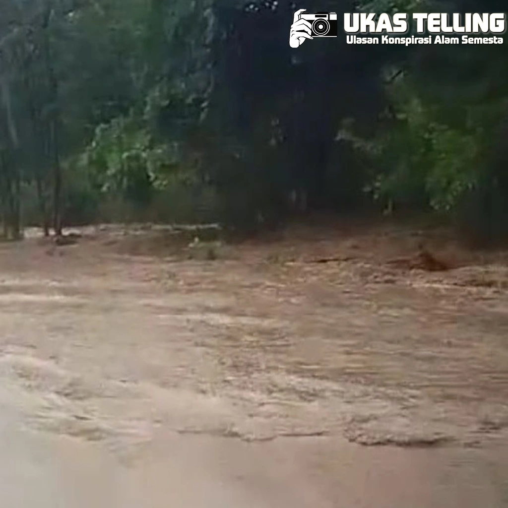 Banjir Situbondo: Pantura Terendam, 5 Kecamatan Penuh