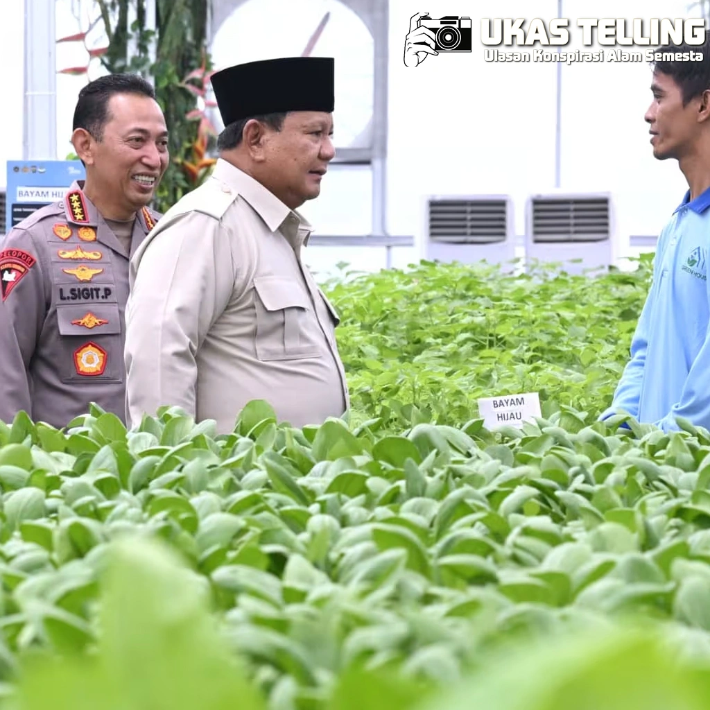 Prabowo Resmikan 1.179 Dapur MBG Polri, Serap Ribuan Pekerja!