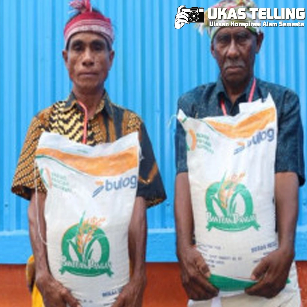 Pemerintah Bagi-bagi Beras dalam Migor ke 33 Juta Warga!