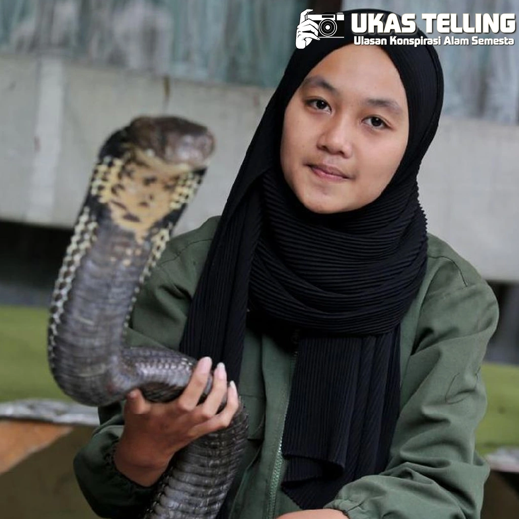 Gadis Baru Pelihara Ular, Dapat Rp2,5 Miliar!