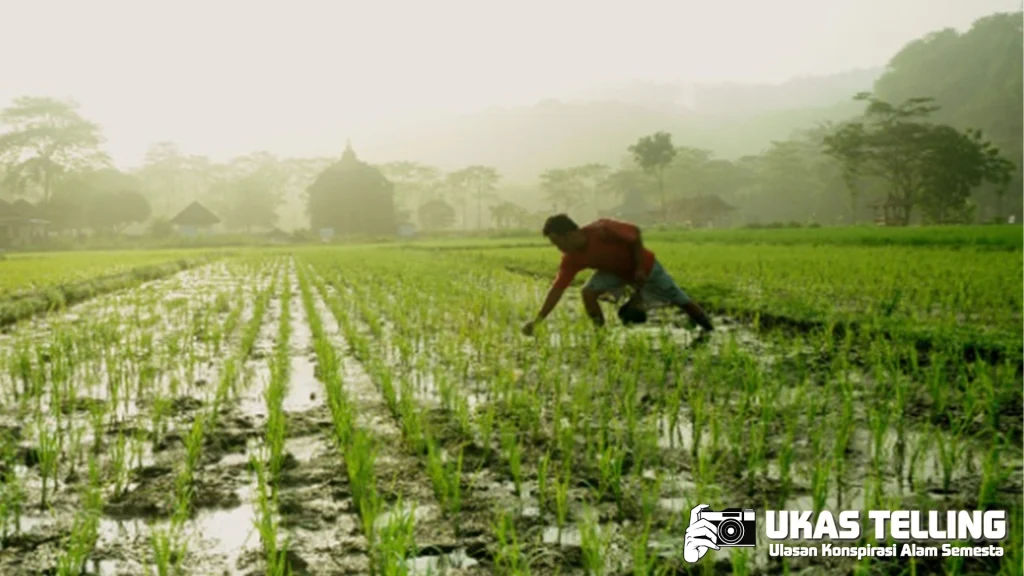 Pupuk Palsu Terbongkar, Kerugian Petani 2 Triliunan