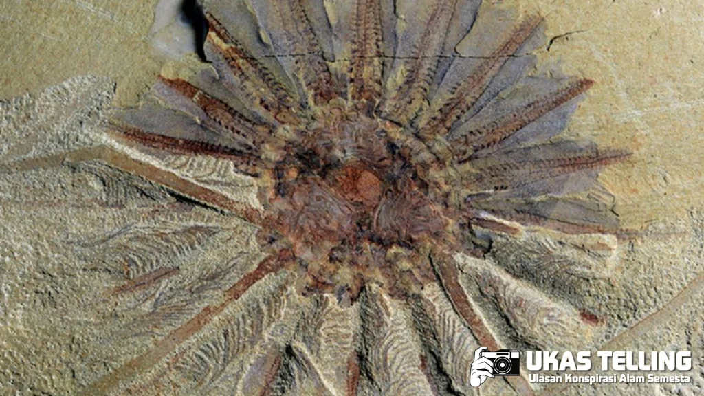 Teror Monster Bertentakel 100 Juta Tahun Yang Lalu